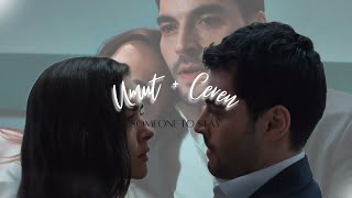 umut & ceren | someone to stay ⋄ tuzak