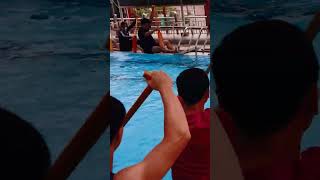 Kỹ thuật chèo thuyền cho người mới bắt đầu tập chơi #dragonboat #duathuyen #short #shortsvideo