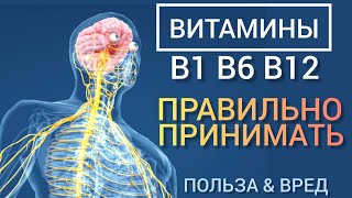 Витамины В1 В6 В12 l Польза и Вред l Ответы на вопросы l Самое главное l Vitamins B - Benefits