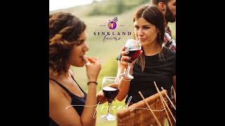 2024 Sinkland Farms Wine Festival  video 15s short video #wine #winetasting #celebration