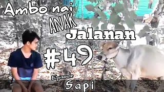 Ambo Nai 49 | SAPI (Musuh atau Kawan) | KOMEDI BUGIS