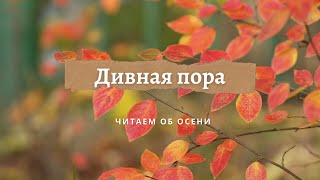 "Золотая осень"