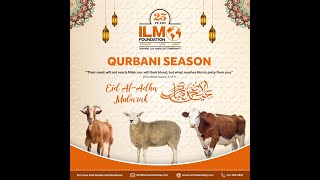 ILM QURBANI GHANA 2024  " LARGEST TO DATE  "