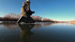 Первый Лед На Реке раздает окуней! Рыбалка на жерлицы и уловистую мормышку.