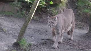 Zoo am Meer Bremerhaven