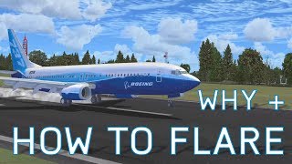 FSX How to Flare + What is Flaring | Tutorials