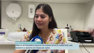 Médica veterinária em Juína orienta como proteger os pets do barulho da queima de fogos