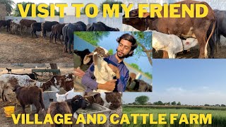 I visit my friend's village and cattle farm | Dost ky farm ka visit Kia | #viral #viralshort #vlog