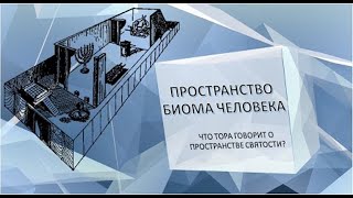 Пространство микробиома и биома человека