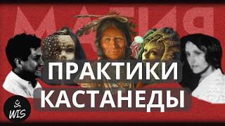 Эти 5 Магических Практик Кастанеды Сделают Тебя Лучше 98% Людей