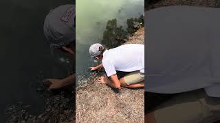 Bass Release! | Subscribe | #fishing #bassfishing #pondfishing