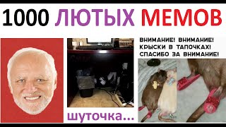 1000 Лютых МЕМОВ. МЕГАПОДБОРКА МЕМОВ с канала МАКСА МАКСИМОВА