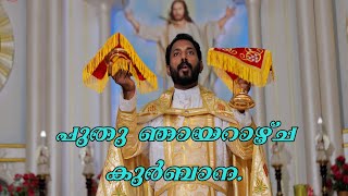 പുതു ഞായറാഴ്ച കുർബാന.Fr.Jose Kottackakathu