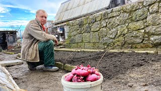 Посадка лука на семена. Выращивание семян ялтинского лука.  Как вырастить семена чернушки.