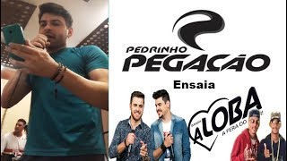 Pedrinho Pegação Ensaia Banda A Loba, Zé Neto e Cristiano, MC Alexandre e MC Viana