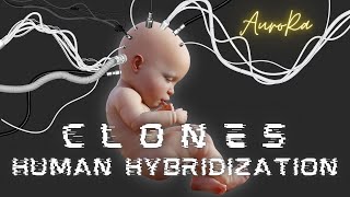 Preview - CLONES | Human Hybridization | Hybrid Children | Military Programs