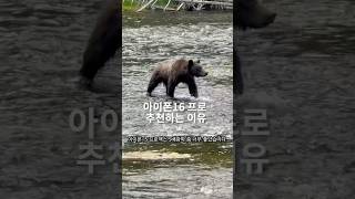 아이폰 16프로 추천 이유 #아이폰16프로