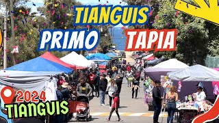 🌮 Descubre el Tianguis de Primo Tapia Ropa de Paca y Delicias Callejeras 🍲