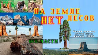 На земле лесов НЕТ - ВСЕ ЧАСТИ