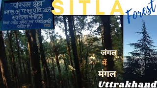 Sitla Forest Mukteswar | Best Hill station | Nainital | First time in jungle | jungle me mangal