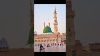 Rizq,e halal khane wala#islam#islamic#ytshorts#allah#muhammad#quran#love