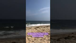 Rowing boat ⛵ in Akkarai Beach, Chennai #beach #rowing #chennai #shortsviral #shortsfeed