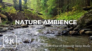 Relaxing Nature : 1 Hour of Calming River sound for Sleep and Meditation in 4K | No loop | No birds