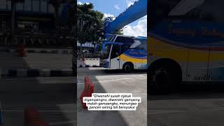 Sugeng Rahayu #videobus #sugengrahayu #sumberselamat #sumbergroup #busmania #indonesia #automobile