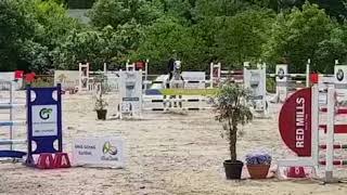 7 yr old Cardento gelding . Redmills Munster GP Maryville