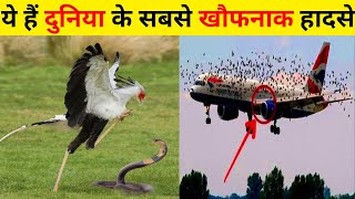 दुनिया के सबसे खौफनाक हादसे | Most Dangerous Accidents |