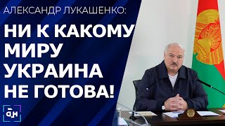 Без ответа любые провокации не останутся! Лукашенко о воздушном вторжении со стороны Украины