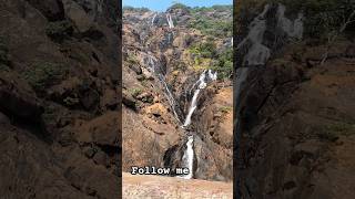 Dudh Sagar waterfalls #shorts #viral #trending #goa #short