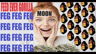 (FEG) Feed Every Gorilla Cryptocurrency - More Than A MEME