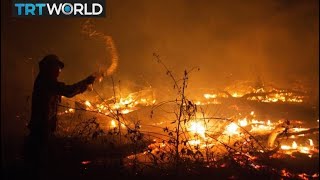 Bolivia's Forest Fires: President Morales promises help from Russia