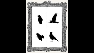 The 4 crows of enchantment. Inside my process: channeling and introduction of crow energy