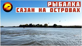 Рыбалка! САЗАН НА ОСТРОВАХ / Ловля Сазана и Сома в Астрахани