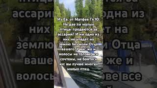 Из Евангелия от Матфея глава 10_11 #евангелие#евангелиеотматфея #новыйзавет#священноеписание #библия