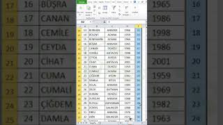 Excel Her Satır Altına Boş Satır Ekleme