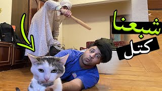 معاناة القطط بالعراق 😹 .. آمي طردت القط توم tom من البيت #تحشيش | مصطفى ستار