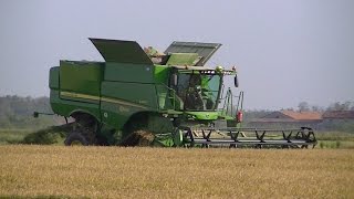 JONH DEERE S660i e C670. BIG Rice Harvest/Mietitura Riso 2014 in ITALY