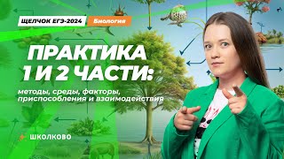 ЩЕЛЧОК| Практика 1 и 2 части: методы, среды, факторы, приспособления и взаимодействия организмов