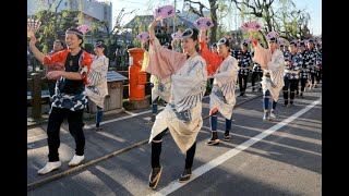 Sawara Matsuri 2024