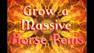 Grow a Massive Horse Penis - Frequency Subliminal Binaural Isochronic Spell