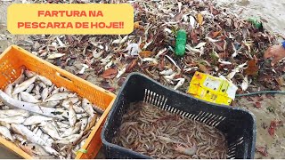 PESCARIA DE ARRASTÃO I VOCÊ TERIA CORAGEM? 🌊#pescaria#fishing#fisheries