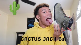 Travis Scott Fan Reviews TRAVIS SCOTT x AIR JORDAN 6 (+ On Feet)