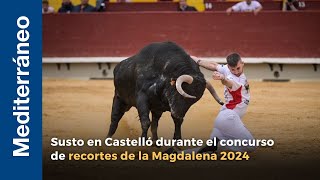 Susto en Castelló durante el concurso de recortes de la Magdalena 2024