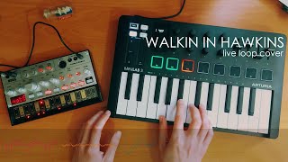 Stranger Things - Walkin In Hawkins (Live Loop Cover) | Volca Bass + Minilab 3