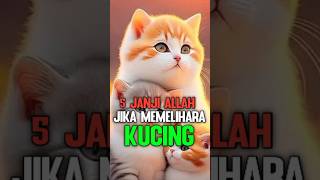 SUBHANALLAH - INILAH 5 JANJI ALLAH BAGI YANG SUKA PELIHARA KUCING #feedshorts