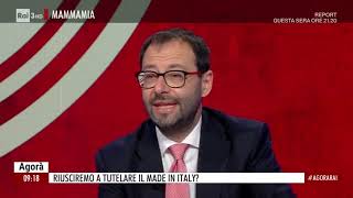 Il Ministro Patuanelli ospite alla trasmissione TV Agorà su RAI3