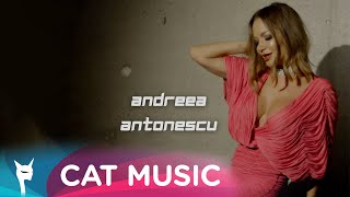 Andreea Antonescu - Ai Gresit Fata, Baiatule